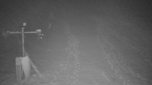 TJ Němčičky - Svah - 1.12.2025 v 01:10 TJ Němčičky - Svah - 1.12.2025 v 01:10