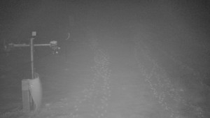 TJ Němčičky - Svah - 1.12.2025 v 01:20 TJ Němčičky - Svah - 1.12.2025 v 01:20