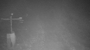 TJ Němčičky - Svah - 1.12.2025 v 01:30 TJ Němčičky - Svah - 1.12.2025 v 01:30