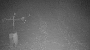 TJ Němčičky - Svah - 1.12.2025 v 02:50 TJ Němčičky - Svah - 1.12.2025 v 02:50