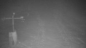 TJ Němčičky - Svah - 1.12.2025 v 03:10 TJ Němčičky - Svah - 1.12.2025 v 03:10