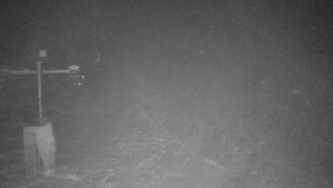 TJ Němčičky - Svah - 1.12.2025 v 03:30 TJ Němčičky - Svah - 1.12.2025 v 03:30