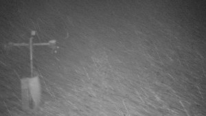 TJ Němčičky - Svah - 1.12.2025 v 03:40 TJ Němčičky - Svah - 1.12.2025 v 03:40