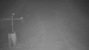 TJ Němčičky - Svah - 1.12.2025 v 04:05 TJ Němčičky - Svah - 1.12.2025 v 04:05