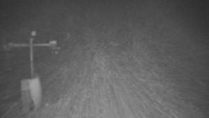 TJ Němčičky - Svah - 1.12.2025 v 04:20 TJ Němčičky - Svah - 1.12.2025 v 04:20