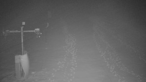 TJ Němčičky - Svah - 1.12.2025 v 04:50 TJ Němčičky - Svah - 1.12.2025 v 04:50