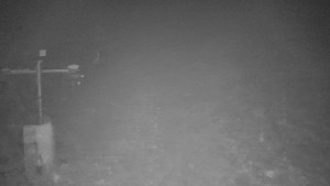 TJ Němčičky - Svah - 1.12.2025 v 05:00 TJ Němčičky - Svah - 1.12.2025 v 05:00