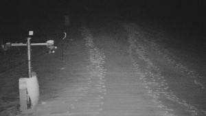 TJ Němčičky - Svah - 1.12.2025 v 05:05 TJ Němčičky - Svah - 1.12.2025 v 05:05