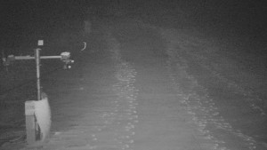 TJ Němčičky - Svah - 1.12.2025 v 05:20 TJ Němčičky - Svah - 1.12.2025 v 05:20