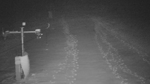 TJ Němčičky - Svah - 1.12.2025 v 05:25 TJ Němčičky - Svah - 1.12.2025 v 05:25