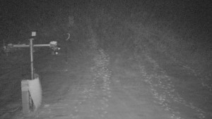 TJ Němčičky - Svah - 1.12.2025 v 05:35 TJ Němčičky - Svah - 1.12.2025 v 05:35