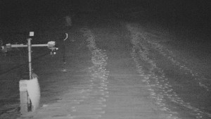 TJ Němčičky - Svah - 1.12.2025 v 06:05 TJ Němčičky - Svah - 1.12.2025 v 06:05