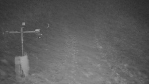 TJ Němčičky - Svah - 1.12.2025 v 06:25 TJ Němčičky - Svah - 1.12.2025 v 06:25