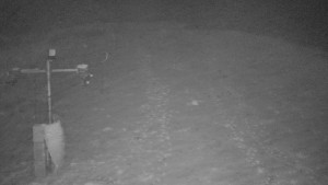 TJ Němčičky - Svah - 1.12.2025 v 06:35 TJ Němčičky - Svah - 1.12.2025 v 06:35