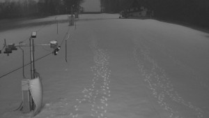 TJ Němčičky - Svah - 1.12.2025 v 06:45 TJ Němčičky - Svah - 1.12.2025 v 06:45