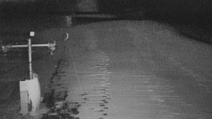 TJ Němčičky - Svah - 5.12.2025 v 01:35 TJ Němčičky - Svah - 5.12.2025 v 01:35