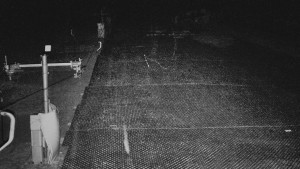 TJ Němčičky - Svah - 15.12.2025 v 00:20 TJ Němčičky - Svah - 15.12.2025 v 00:20