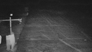 TJ Němčičky - Svah - 15.12.2025 v 01:30 TJ Němčičky - Svah - 15.12.2025 v 01:30