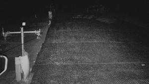 TJ Němčičky - Svah - 15.12.2025 v 01:40 TJ Němčičky - Svah - 15.12.2025 v 01:40