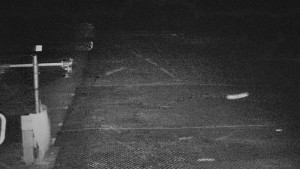 TJ Němčičky - Svah - 15.12.2025 v 02:00 TJ Němčičky - Svah - 15.12.2025 v 02:00