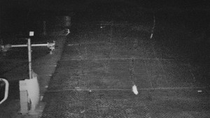 TJ Němčičky - Svah - 15.12.2025 v 02:45 TJ Němčičky - Svah - 15.12.2025 v 02:45