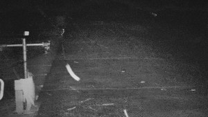 TJ Němčičky - Svah - 15.12.2025 v 03:00 TJ Němčičky - Svah - 15.12.2025 v 03:00