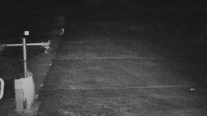 TJ Němčičky - Svah - 15.12.2025 v 05:30 TJ Němčičky - Svah - 15.12.2025 v 05:30