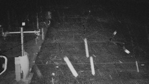 TJ Němčičky - Svah - 15.12.2025 v 05:50 TJ Němčičky - Svah - 15.12.2025 v 05:50