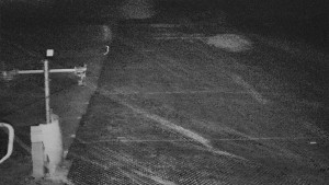 TJ Němčičky - Svah - 15.12.2025 v 06:45 TJ Němčičky - Svah - 15.12.2025 v 06:45