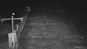 TJ Němčičky - Svah - 15.12.2025 v 19:50 TJ Němčičky - Svah - 15.12.2025 v 19:50