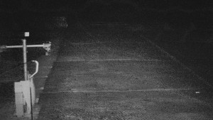 TJ Němčičky - Svah - 15.12.2025 v 21:00 TJ Němčičky - Svah - 15.12.2025 v 21:00