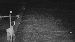 TJ Němčičky - Svah - 15.12.2025 v 21:35 TJ Němčičky - Svah - 15.12.2025 v 21:35