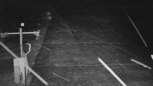 TJ Němčičky - Svah - 15.12.2025 v 23:15 TJ Němčičky - Svah - 15.12.2025 v 23:15