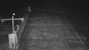 TJ Němčičky - Svah - 15.12.2025 v 23:55 TJ Němčičky - Svah - 15.12.2025 v 23:55