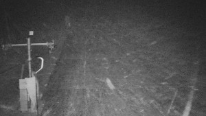 TJ Němčičky - Svah - 19.12.2025 v 02:25 TJ Němčičky - Svah - 19.12.2025 v 02:25