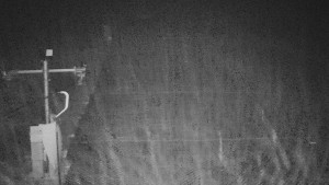 TJ Němčičky - Svah - 19.12.2025 v 03:50 TJ Němčičky - Svah - 19.12.2025 v 03:50