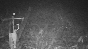 TJ Němčičky - Svah - 19.12.2025 v 04:05 TJ Němčičky - Svah - 19.12.2025 v 04:05