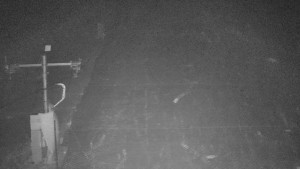 TJ Němčičky - Svah - 19.12.2025 v 04:50 TJ Němčičky - Svah - 19.12.2025 v 04:50