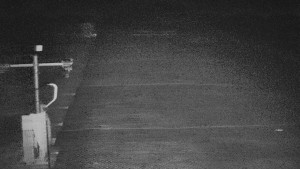 TJ Němčičky - Svah - 19.12.2025 v 06:25 TJ Němčičky - Svah - 19.12.2025 v 06:25