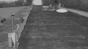 TJ Němčičky - Svah - 19.12.2025 v 07:15 TJ Němčičky - Svah - 19.12.2025 v 07:15