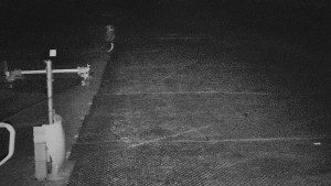 TJ Němčičky - Svah - 19.12.2025 v 22:05 TJ Němčičky - Svah - 19.12.2025 v 22:05