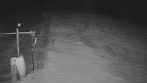 TJ Němčičky - Svah - 30.12.2025 v 00:00 TJ Němčičky - Svah - 30.12.2025 v 00:00