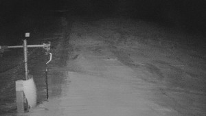 TJ Němčičky - Svah - 30.12.2025 v 01:35 TJ Němčičky - Svah - 30.12.2025 v 01:35