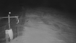 TJ Němčičky - Svah - 30.12.2025 v 02:50 TJ Němčičky - Svah - 30.12.2025 v 02:50