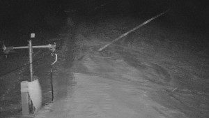 TJ Němčičky - Svah - 30.12.2025 v 03:35 TJ Němčičky - Svah - 30.12.2025 v 03:35