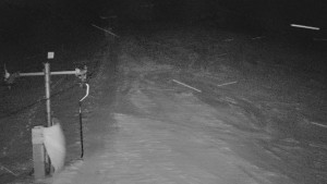 TJ Němčičky - Svah - 30.12.2025 v 04:20 TJ Němčičky - Svah - 30.12.2025 v 04:20