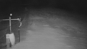 TJ Němčičky - Svah - 30.12.2025 v 04:35 TJ Němčičky - Svah - 30.12.2025 v 04:35