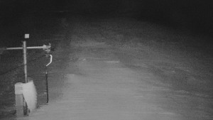 TJ Němčičky - Svah - 30.12.2025 v 05:00 TJ Němčičky - Svah - 30.12.2025 v 05:00