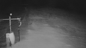 TJ Němčičky - Svah - 30.12.2025 v 05:30 TJ Němčičky - Svah - 30.12.2025 v 05:30