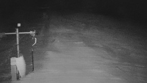 TJ Němčičky - Svah - 30.12.2025 v 06:25 TJ Němčičky - Svah - 30.12.2025 v 06:25